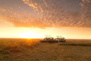 serengeti safari camp sundowner