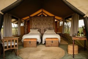 serengeti safari camp twin room