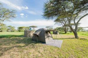 wayo walking camp serengeti tent exterior