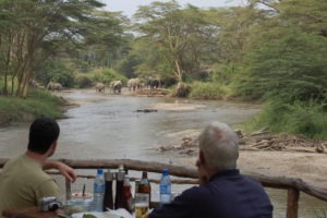 ishasha wilderness camp uganda dining elephants