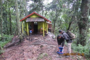 rwenzori trekking uganda sine camp 1