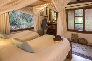 Masai Mara Acacia House Twin Bed 6R1A5989 highres