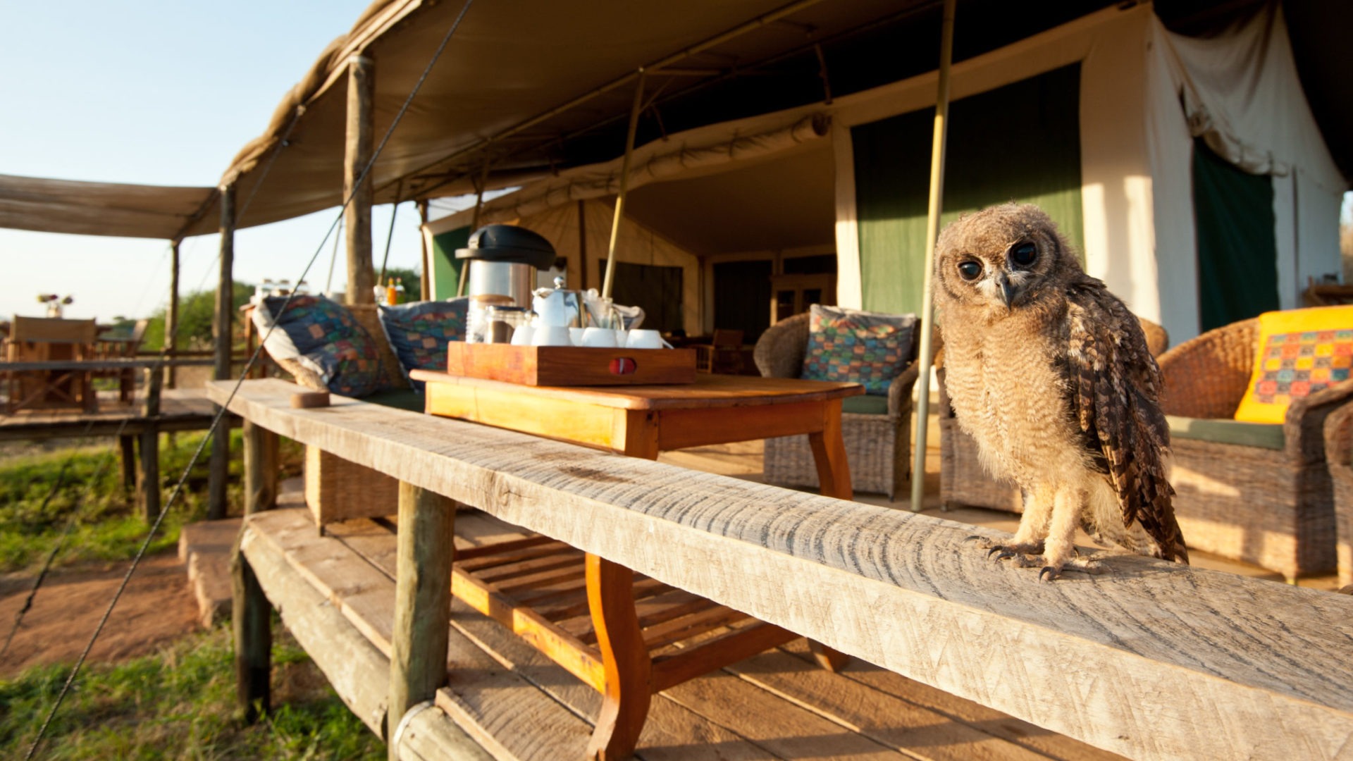 KEN 2018 5HOT Laikipia Wilderness Camp Tea Deck with Owl