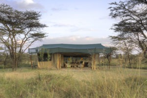 Kicheche Bush Camp Tent Masai Mara