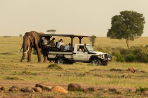 Masai Mara Karen Blixen elephant game drive