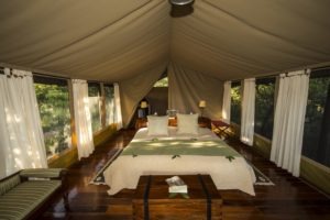 Masai Mara Karen Tent Interior