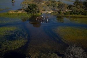 Okavango Delta Ride 3