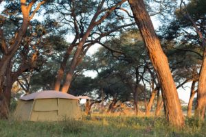 Ride Zimbabwe Tent