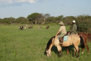 Ride Zimbabwe plains 2