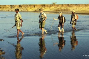 Surefoot Safaris Walking Luangwa River Will Whitford
