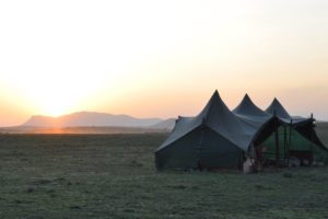 Kaskazi Horse Safari Tent