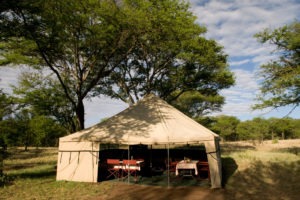 ndutu wilderness camp tanzania dining