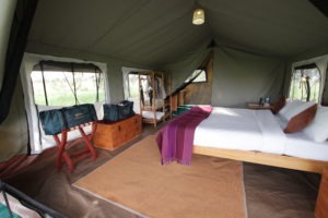 ndutu wilderness camp tanzania room interior