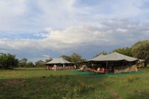 serengeti north wilderness camp tanzania mess