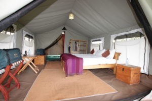 serengeti north wilderness camp tanzania room