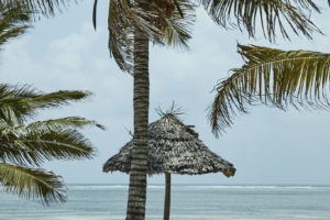 baraza resort and spa zanzibar palm