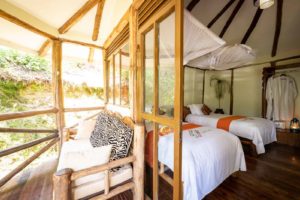 gorilla safari lodge uganda bedroom outside