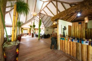 gorilla safari lodge uganda curio shop