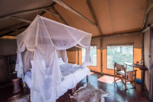 Chobe River Camp tent room 4