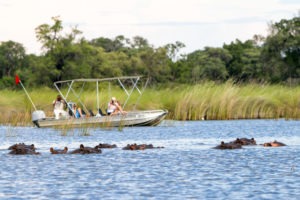 botswana okavango delta camp moremi hippos boating