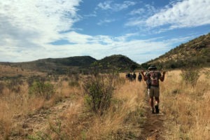selati walking safari south africa guests