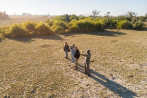 botswana okavango delta setari camp walking safari