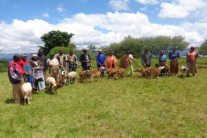 rwanda volanoes virunga lodge project