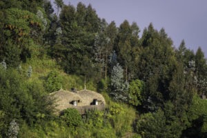 rwanda volcanoes bisate lodge aerial