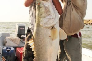 2015whopper Lobolo Lake Turkana kenya fishing
