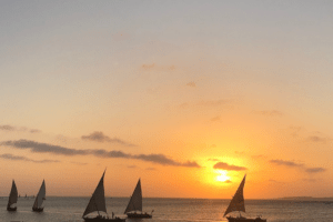 Dhow sailing Majlis Lamu Kenya