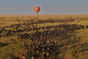Hot air balloon over the Migration by Tom Harding Saruni Wild Masai Mara Kenya