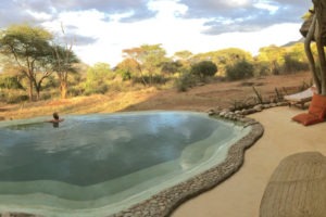 IMG 0484 Sarara Samburu Kenya swimming pool
