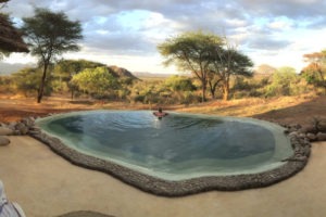 IMG 0486 Sarara Samburu Kenya swimming pool
