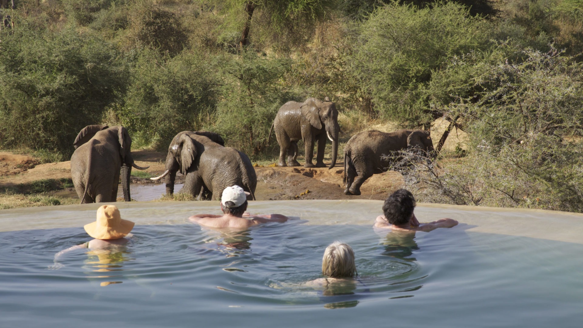 MG 6482 Sarara Samburu Kenya elephants pool swim