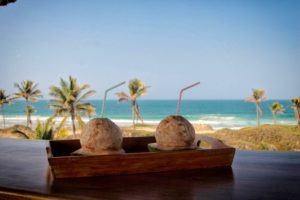 Travessia Beach Lodge Mozambique Bar Coconut Drinks