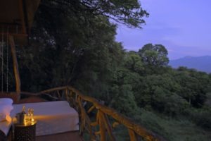 sarara 2019 51.1 Sarara Tree Samburu Kenya