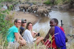 KarisiaSafariScenes 129 Karisia Laikipia Kenya elephants walking