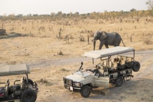 zimbabwe hwange national park somalisa camp18