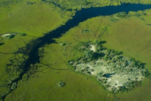 botswana okavango delta bushman plains camp 2