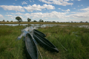 botswana okavango delta bushman plains camp 30