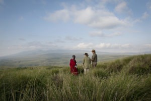 tanzania ngorongoro crater the highlands 2