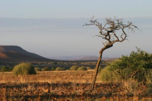 Namibia Kaokoland Grootberg Etendeka Mountain Camp4