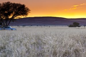 Namibia Sossusvlei Sesriem Campsite3