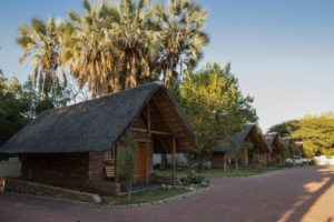 botswana maun lodge 18