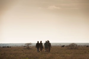 Legendary Serengeti Mobile Camp guided walks