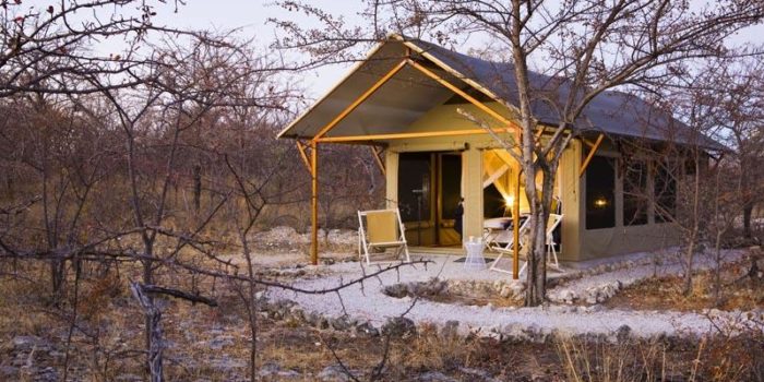 Namibia Etosha Mushara Bush Camp1