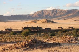 Namibia Sossusvlei Namib Hoodia21