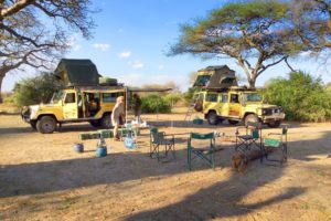 Tanzania Self Drive Camping11