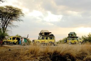 Tanzania Self Drive Camping2