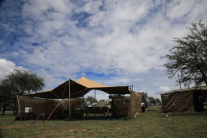 tanzania serengeti great migration camps safaris 18
